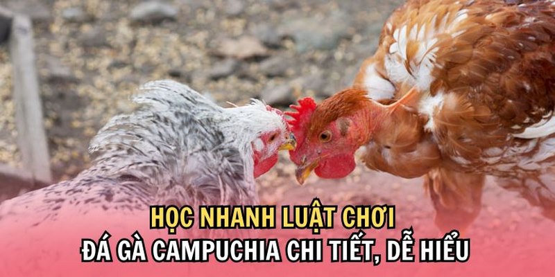 da-ga-campuchia-cach-tinh-diem