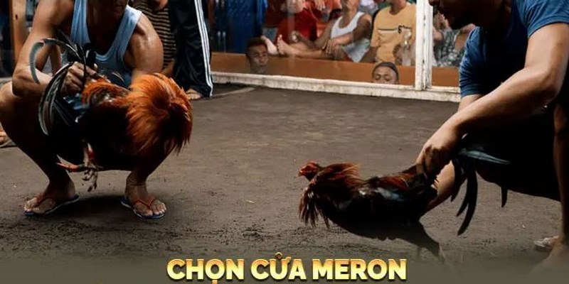 da-ga-campuchia-chon-cua-meron