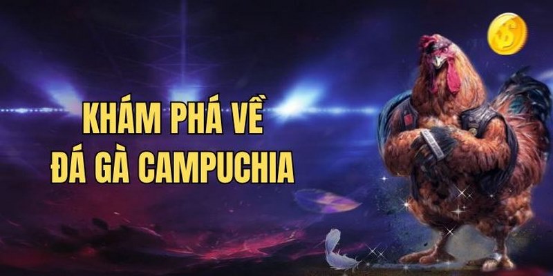 da-ga-campuchia-khai-niem-chung